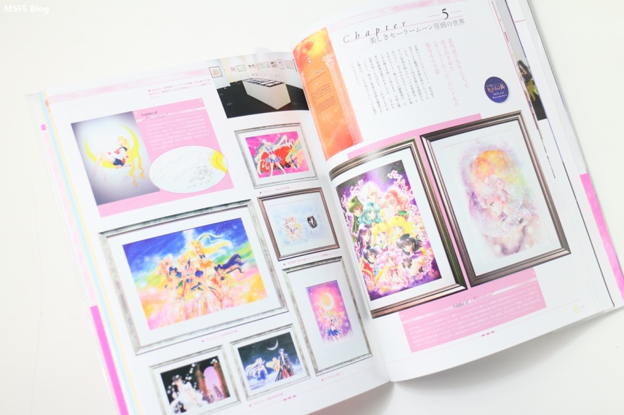 20th Anniversary Sailor Moon Book [美少女戦士セ−ラ−ム−ン２０周年記念ＢＯＯＫ]